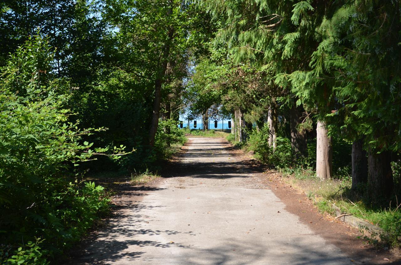 Solnechny Bereg Guest House Gudauta Kültér fotó