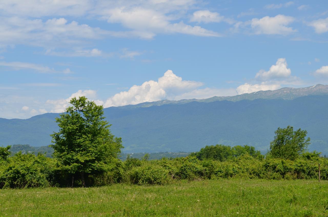 Solnechny Bereg Guest House Gudauta Kültér fotó