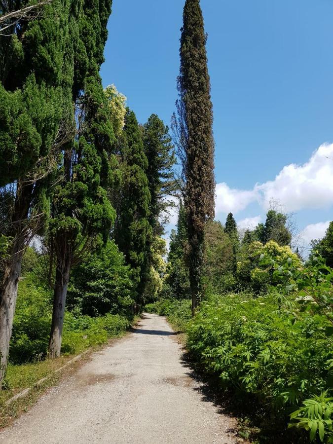 Solnechny Bereg Guest House Gudauta Kültér fotó