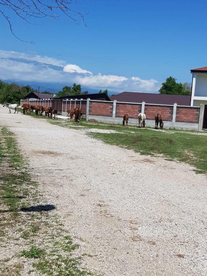 Solnechny Bereg Guest House Gudauta Kültér fotó