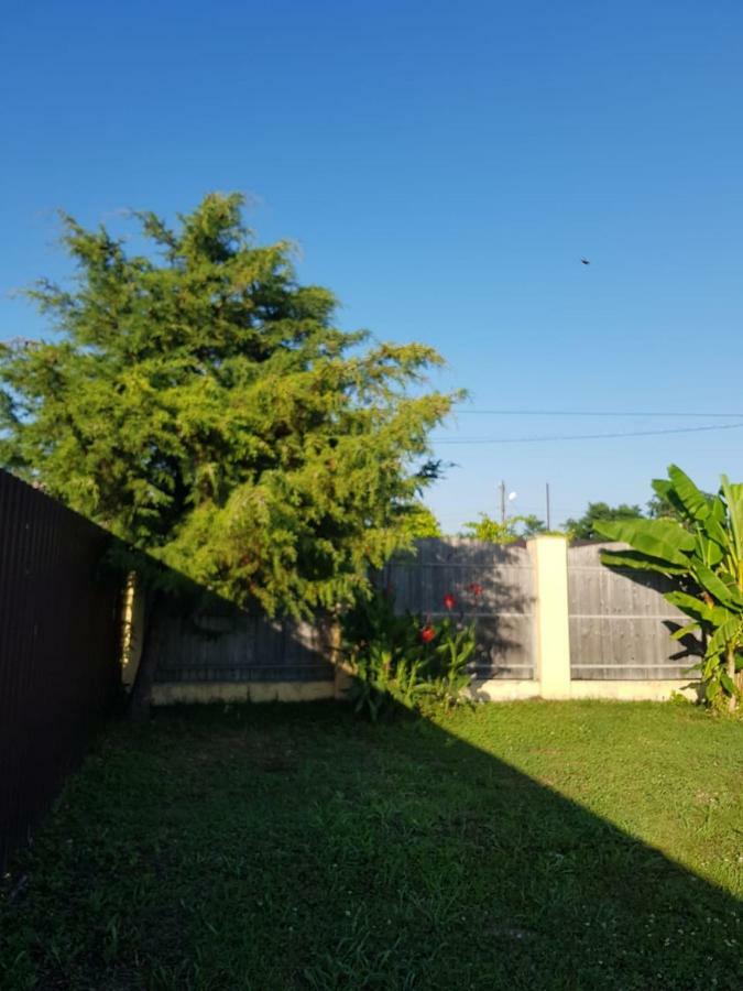 Solnechny Bereg Guest House Gudauta Kültér fotó