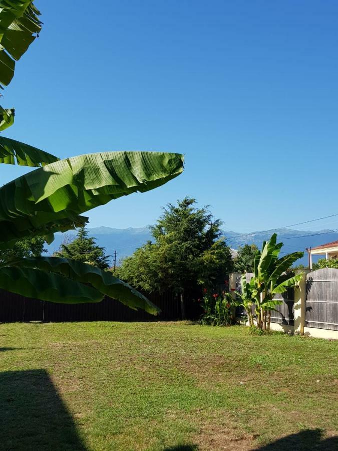 Solnechny Bereg Guest House Gudauta Kültér fotó